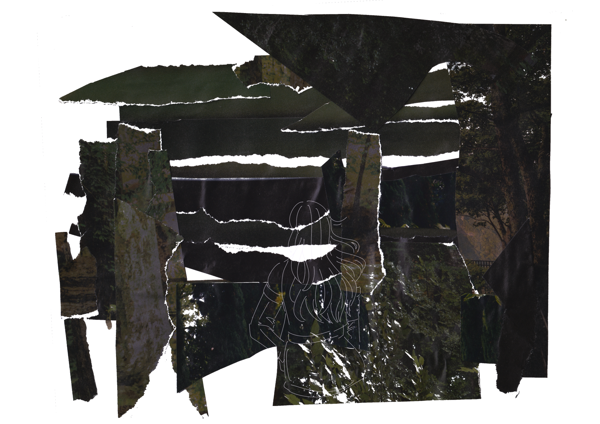 A traditional collage piece with digital lineart. The collage consists of magazine cuts of different trees and folliage, edited to appear darker, like a nighttime scene. A white digital lineart depiction of False stands before, her back facing the camera.